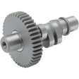 ANDREWS 78 - 84 B/T "B2" W/GEAR .485" LIFT - DRIVEN Canada's Powersports 212358