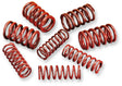ANDREWS 84 - 04 B/T H/LIFT SPRING KIT SET (294150) - DRIVEN Canada's Powersports 294150