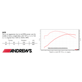 ANDREWS CAM BOLT - IN 465B M8 (217465) - DRIVEN Canada's Powersports 217465