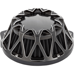 ARLEN NESS AIR CLNR CROSSFIRE (600 - 039) - DRIVEN Canada's Powersports 600 - 039