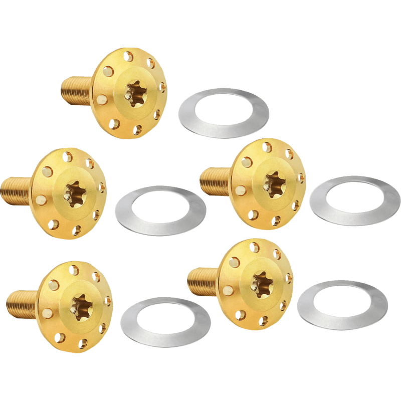 ARLEN NESS BOLT KIT ROTOR REAR HOLESHOT 5 PACK HUB MOUNT, GOL (300 - 908) - DRIVEN Canada's Powersports 300 - 908