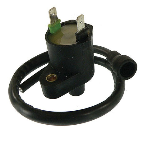 ARROWHEAD IGNITION COIL (160 - 01021) - DRIVEN Canada's Powersports 160 - 01021