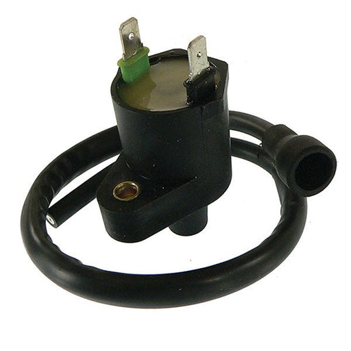 ARROWHEAD IGNITION COIL (160-01021) - Driven Powersports Inc.160-01021