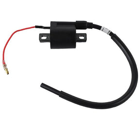 ARROWHEAD IGNITION COIL (160 - 01061) - DRIVEN Canada's Powersports 160 - 01061