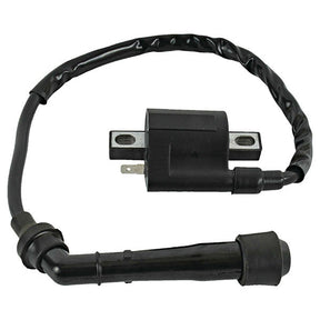 ARROWHEAD IGNITION COIL (160 - 01068) - DRIVEN Canada's Powersports 160 - 01068