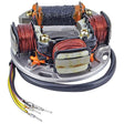 ARROWHEAD STATOR (340 - 22033) - DRIVEN Canada's Powersports 340 - 22033