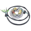 ARROWHEAD STATOR (340 - 58004) - DRIVEN Canada's Powersports 340 - 58004