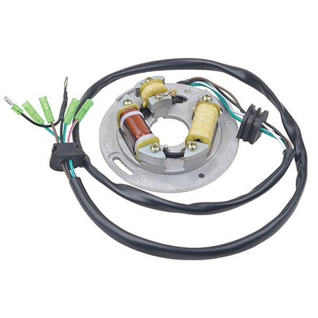 ARROWHEAD STATOR (340 - 58004) - DRIVEN Canada's Powersports 340 - 58004