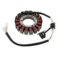 ARROWHEAD STATOR (340 - 58039) - DRIVEN Canada's Powersports 340 - 58039