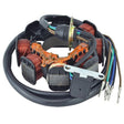 ARROWHEAD STATOR (340 - 58053) - DRIVEN Canada's Powersports 340 - 58053