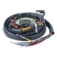 ARROWHEAD STATOR (340 - 58054) - DRIVEN Canada's Powersports 340 - 58054