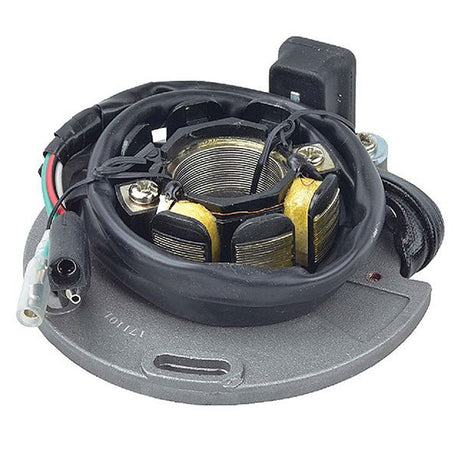 ARROWHEAD STATOR (340 - 58084) - DRIVEN Canada's Powersports 340 - 58084