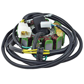 ARROWHEAD STATOR (340 - 58099) - DRIVEN Canada's Powersports 340 - 58099