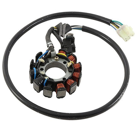 ARROWHEAD STATOR (340 - 58041) - DRIVEN Canada's Powersports 340 - 58041