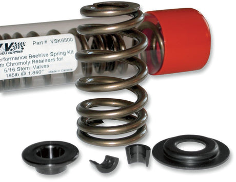 AV&V 84 - 04 B/T B/HIVE VALVE SPR KIT .600 (VSK6000S) - DRIVEN Canada's Powersports VSK6000S