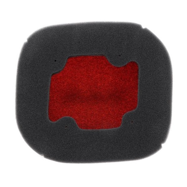 TWIN AIR BACKFIRE AIR FILTER (TA154222FR) - DRIVEN Canada's Powersports 8720239712360TA154222FR