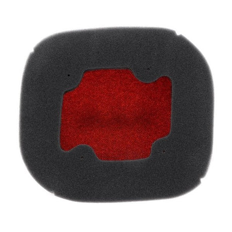 TWIN AIR BACKFIRE AIR FILTER (TA154222FR) - DRIVEN Canada's Powersports 8720239712360TA154222FR