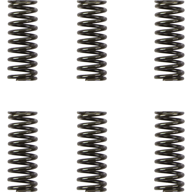 BARNETT DUCATI CLUTCH SPRING KIT (501 - 42 - 06111) - DRIVEN Canada's Powersports 501 - 42 - 06111