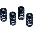 BARNETT DUCATI SPRING KIT (519 - 25 - 06095) - DRIVEN Canada's Powersports 519 - 25 - 06095