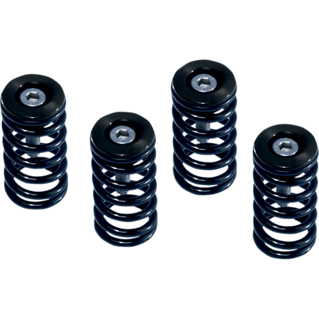 BARNETT DUCATI SPRING KIT (519 - 25 - 06095) - DRIVEN Canada's Powersports 519 - 25 - 06095