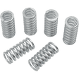BELT DRIVES LTD. REPL CLUTCH SPRINGS F/552000/552001 6PK (DS 360156) - DRIVEN Canada's Powersports DS 360156