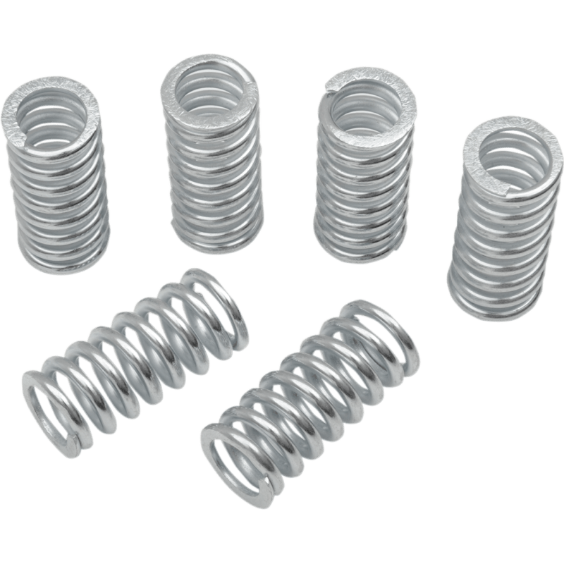 BELT DRIVES LTD. REPL CLUTCH SPRINGS F/552000/552001 6PK (DS 360156) - DRIVEN Canada's Powersports DS 360156