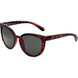 BOBSTER SAIL GLOSS TORTOISE FRAME SMOKED POLARIZED LENS - DRIVEN Canada's Powersports 642608053905BSAL001P