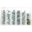 BOLT CARBURETOR FLOAT BOWL SCREW KIT (KT) (SV - CARBSCRW) - DRIVEN Canada's Powersports 819648021816SV - CARBSCRW