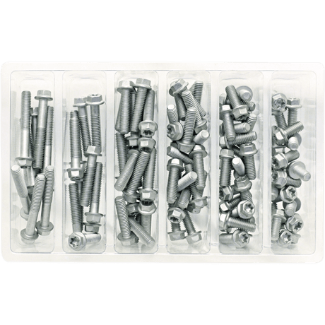 BOLT M6 EURO STYLE FLANGE ASSORTMENT (KT) (SV - M6EURO) - DRIVEN Canada's Powersports 819648021786SV - M6EURO