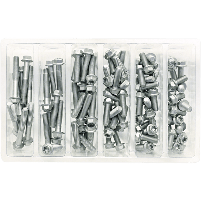 BOLT M6 EURO STYLE FLANGE ASSORTMENT (KT) (SV - M6EURO) - DRIVEN Canada's Powersports 819648021786SV - M6EURO