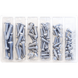BOLT M6 & M8 BUTTON ALLEN ASSORTMENT (KT) (SV - BHM6M8) - DRIVEN Canada's Powersports 819648021380SV - BHM6M8