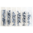 BOLT M6 PAN HEAD SCREW ASSORTMENT (KT) (SV - M6PAN) - DRIVEN Canada's Powersports 819648021809SV - M6PAN