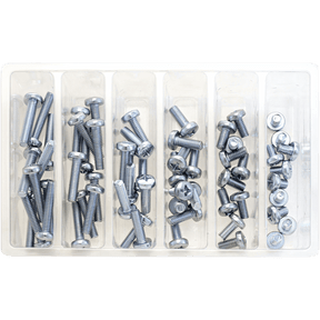 BOLT M6 PAN HEAD SCREW ASSORTMENT (KT) (SV - M6PAN) - DRIVEN Canada's Powersports 819648021809SV - M6PAN