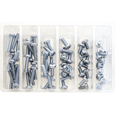 BOLT M6 PAN HEAD SCREW ASSORTMENT (KT) (SV - M6PAN) - DRIVEN Canada's Powersports 819648021809SV - M6PAN