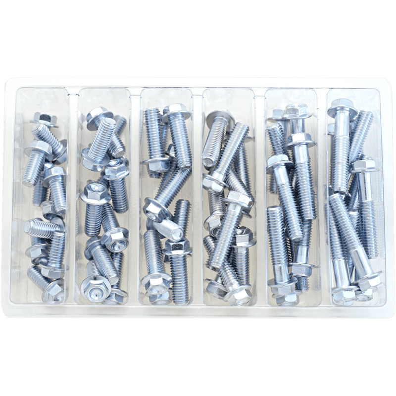 BOLT M8 10MM HEX FLANGE ASSORTMENT (KT) (SV - M8HEXF) - DRIVEN Canada's Powersports 819648021731SV - M8HEXF