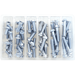 BOLT M8 10MM HEX FLANGE ASSORTMENT (KT) (SV - M8HEXF) - DRIVEN Canada's Powersports 819648021731SV - M8HEXF
