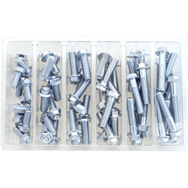 BOLT M8 10MM HEX FLANGE ASSORTMENT (KT) (SV - M8HEXF) - DRIVEN Canada's Powersports 819648021731SV - M8HEXF
