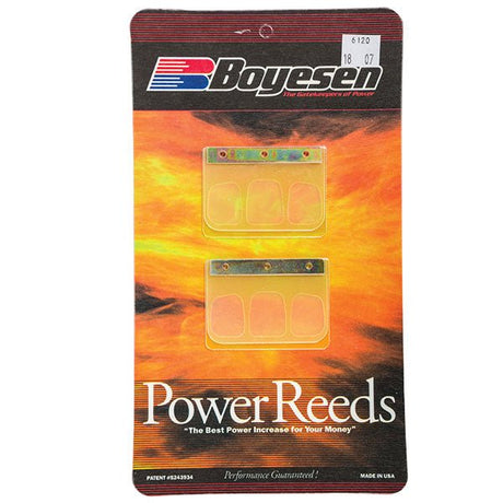 BOYESEN MOTORCYCLE POWER REED (6120) - DRIVEN Canada's Powersports 8044290091456120