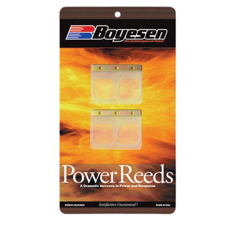 BOYESEN MOTORCYCLE POWER REED (636) - DRIVEN Canada's Powersports 636