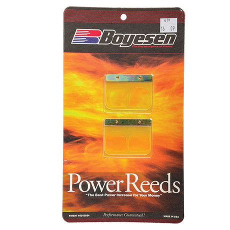 BOYESEN MOTORCYCLE POWER REED (691) - DRIVEN Canada's Powersports 804429003990691