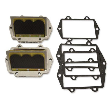 BOYESEN SNOWMOBILE RAGE CAGE (RAD51A - 2) - DRIVEN Canada's Powersports 804429504732RAD51A - 2