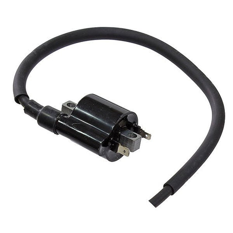 BRONCO ATV IGNITION COIL (AT - 01698) - DRIVEN Canada's Powersports 682577043958AT - 01698