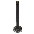 BRONCO ATV/UTV VALVE EXHAUST (AU - 09222E) - DRIVEN Canada's Powersports 758891171056AU - 09222E