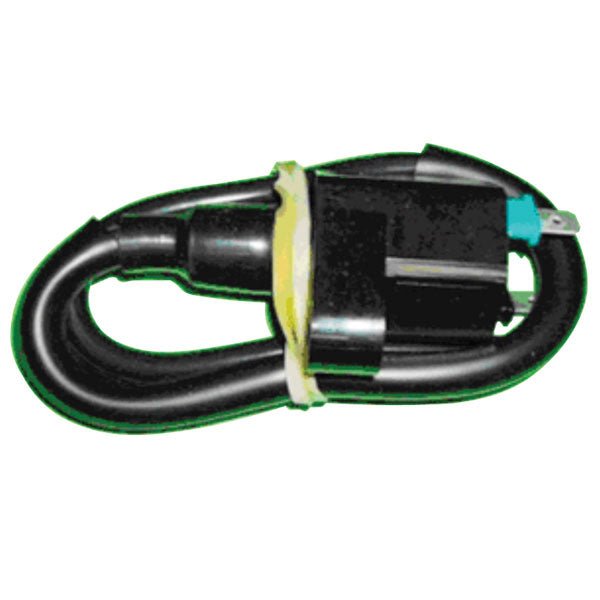 BRONCO IGNITION COIL (AT - 01300) - DRIVEN Canada's Powersports 682577044016AT - 01300