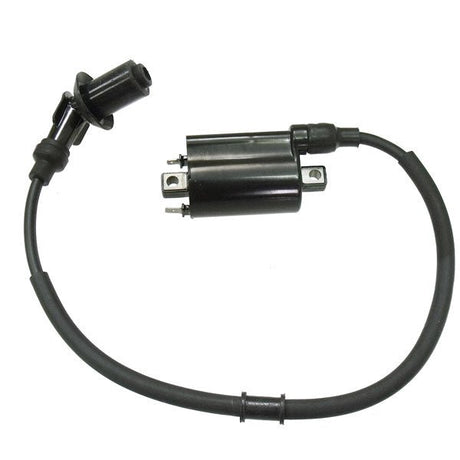 BRONCO IGNITION COIL (AT - 01691) - DRIVEN Canada's Powersports 682577043996AT - 01691