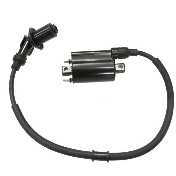 BRONCO IGNITION COIL (AT - 01691) - DRIVEN Canada's Powersports 682577043996AT - 01691