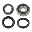 BRONCO WHEEL BEARING KIT (AT - 06582) - DRIVEN Canada's Powersports AT - 06582
