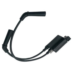 BRP EVINRUDE IGNITION COIL (5030799) - DRIVEN Canada's Powersports 7454192310955030799