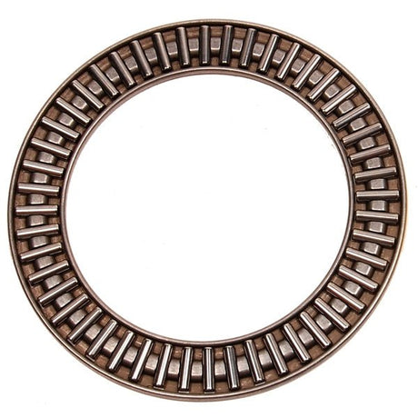 BRP EVINRUDE BEARINGS (397537) - DRIVEN Canada's Powersports 745419043223397537