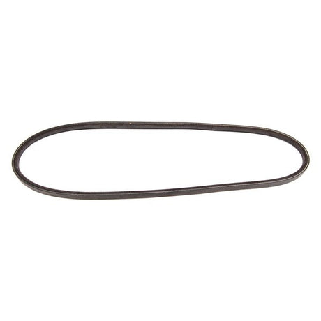 BRP EVINRUDE DRIVE BELT (311606) - DRIVEN Canada's Powersports 745419006815311606